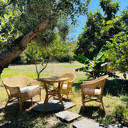 Casa Coghinas Corbezzolo Apartman